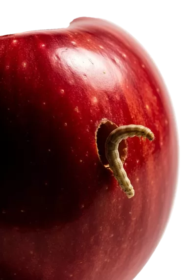 Imagen PNG para descargar